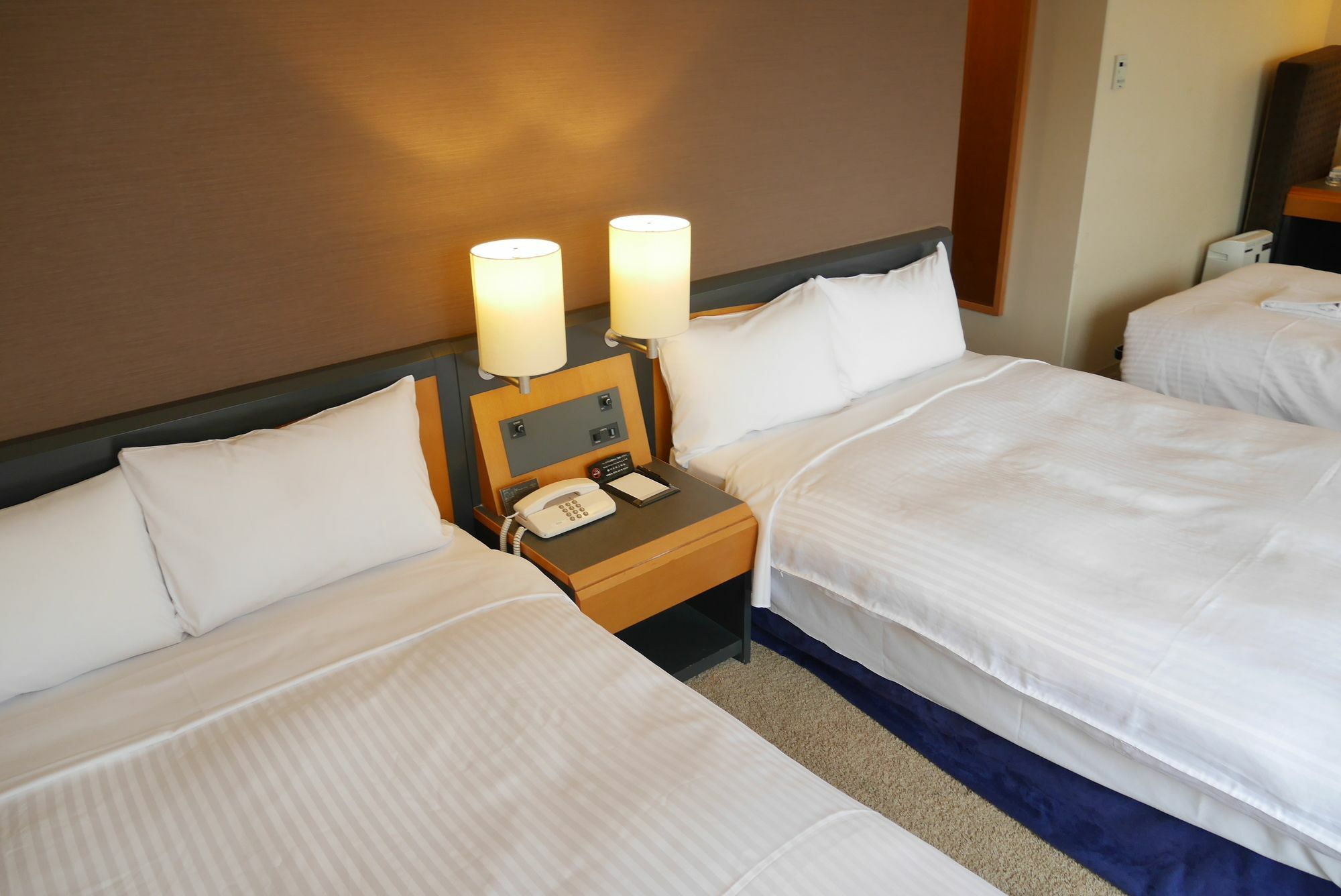 相铁fresa Inn-东京蒲田 東京都