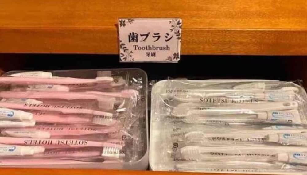 相鉄フレッサイン 東京蒲田 3*